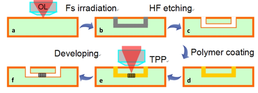 Fig. 1. Schematic illustration of the fabrication procedure for a 3D ship-in-a-bottle biochip by HFLM. It mainly consists of (a) fs laser 3D direct writing of photosensitive Foturan glass followed by (b) a thermal treatment, (c) HF etching, (d) polymer filling, (e) TPP and (f) developing.