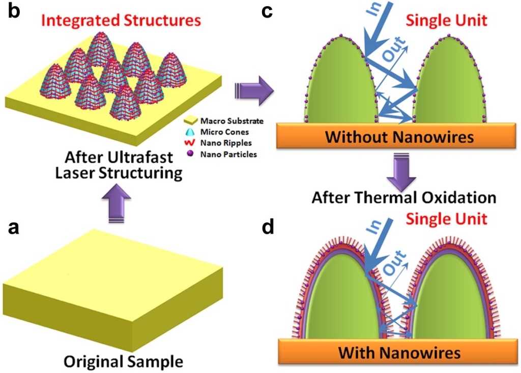 Figure 1. Schematic of the strategy for facile growth of nanowires on ultrafast laser structured surfaces: (a) Original bulk Cu sample (b) Integrated micro structure arrays (c) Single unit of the microscale structures without nanowires (d) Single unit of the microscale structures with nanowires