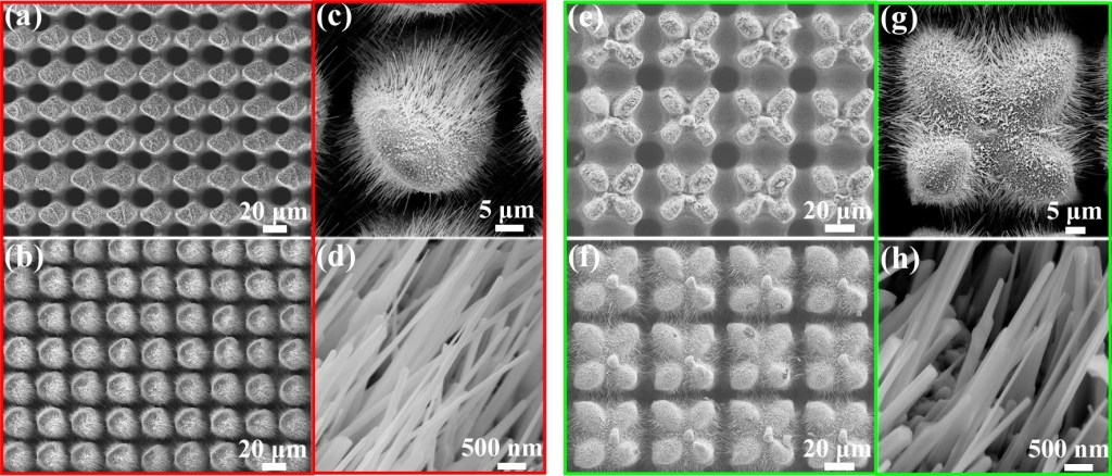 Figure 2. Nanowires growing on different kinds of micro-nano structures: (a) Micro cone structures and (b-d) nanowires growing on them and (e) micro petal structures and (f-h) nanowires growing on them