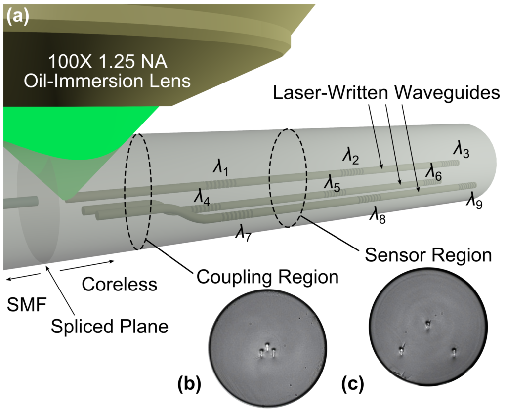 Figure 2. (a) Schematic of a temperature-compensated 3D fiber shape sensor, coupled to single-mode fiber (SMF), and laser-written in coreless fused silica fiber[8]. The λ1 to λ9 wavelengths represent nine different Bragg resonances for waveguide gratings distributed along three laser-written and parallel waveguide tracks. Micrographs of the fiber cross section (125 μm diameter) at the (b) coupling and (c) sensor regions show the arrangement of the internal laser-written waveguides. The figure is reproduced, with permission, from Fig. 1 of Lee et al.[8] © 2013 OSA [http://dx.doi.org/10.1364/OE.21.024076].