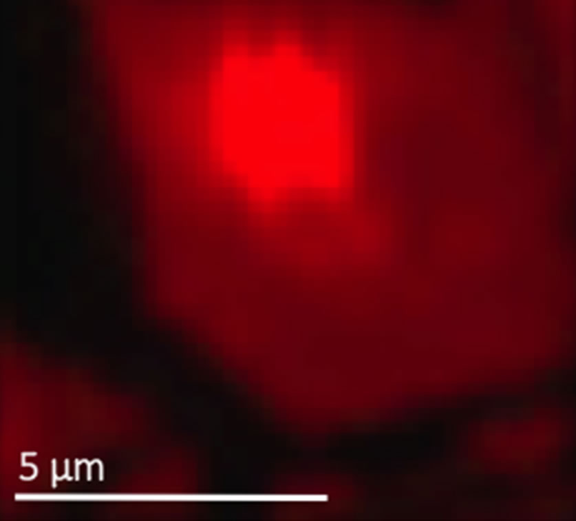 Photoluminescence (PL) mapping of a zoomed in area of a monolayer MoS2 on SiO2 /Si substrate showing PL intensity enhancement of the laser-assisted doped area